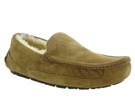 UGG AUSTRALIA ASCOT<br>Gold