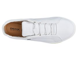 geox basket blanche homme
