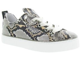 NIRO 4670:Python/Gris/Gris