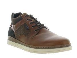 BULLBOXER 895 P5 1192A<br>Gold