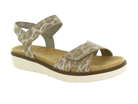 REMONTE D2049<br>Python