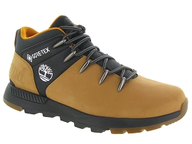 TIMBERLAND A2QZE SPRINT TREKKER GTX<br>Jaune