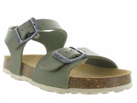 PLAKTON LOUIS<br>Vert