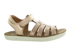 SHOO POM GOA SPART<br>Rose