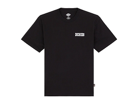 DICKIES A88JI T SHIRT PLAIN CITY<br>Noir