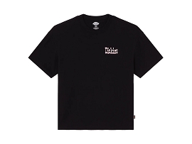 DICKIES A88GO T SHIRT POLK<br>Noir