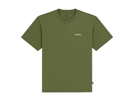 DICKIES A89EN T SHIRT LORETTO<br>Kaki