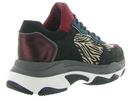 basket bronx noir