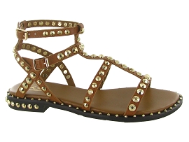 ASH ITALIA PRECIOUS<br>Camel