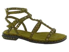 ASH ITALIA PRECIOUS<br>Vert amande