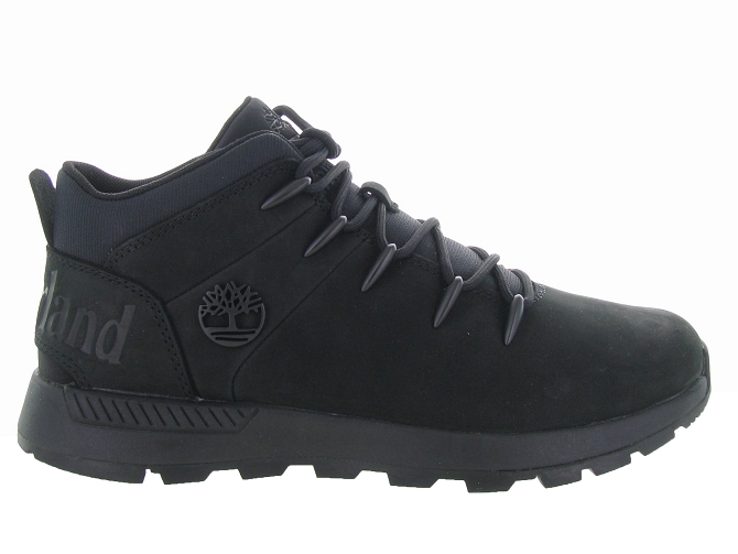 baskets et sneakers - Montante - homme - Cuir - Noir - Timberland4619401_2