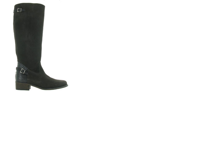 bottes reqins divino