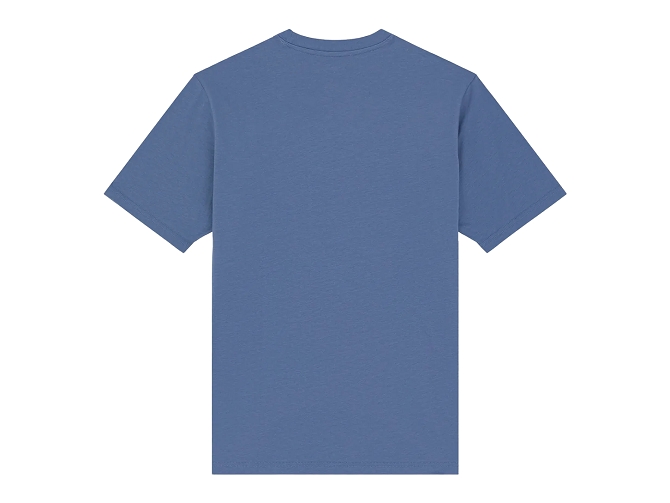 tee shirt - MANCHE COURTE - vetement homme - Coton - Bleu - Dickies5922703_5