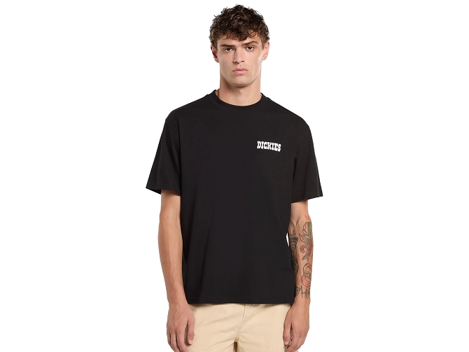 tee shirt - MANCHE COURTE - vetement homme - Coton - Noir - Dickies5923101_2
