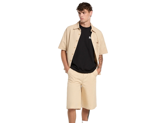 tee shirt - MANCHE COURTE - vetement homme - Coton - Noir - Dickies5923101_5