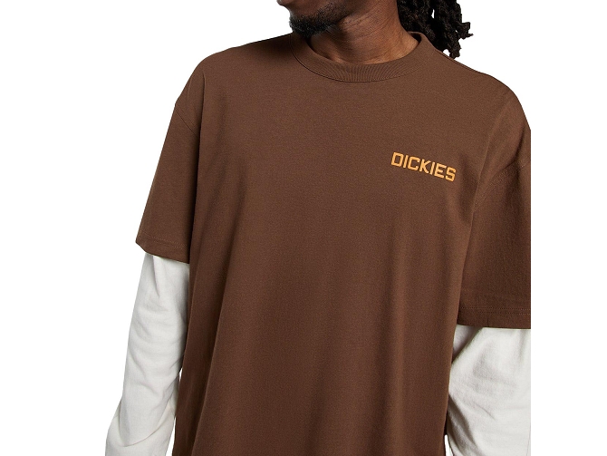 tee shirt - MANCHE COURTE - vetement homme - Coton - Marron - Dickies5923401_3