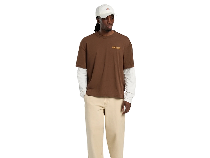 tee shirt - MANCHE COURTE - vetement homme - Coton - Marron - Dickies5923401_5