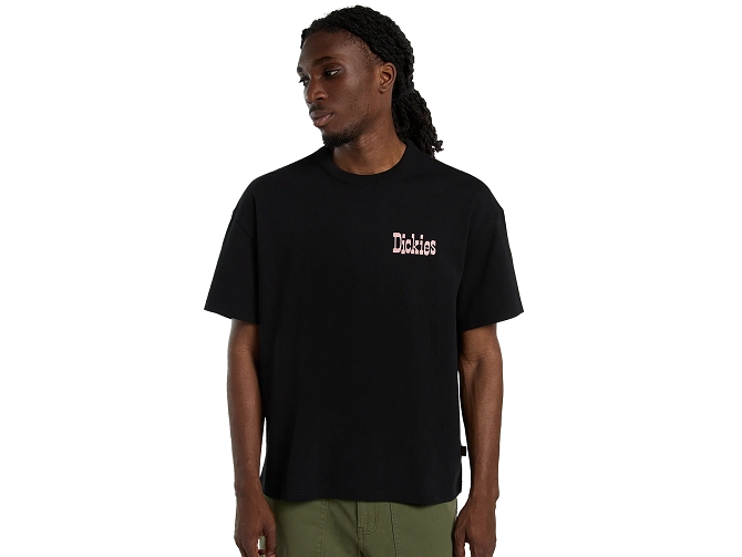 tee shirt - MANCHE COURTE - vetement homme - Coton - Noir - Dickies5923501_2