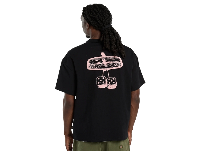 tee shirt - MANCHE COURTE - vetement homme - Coton - Noir - Dickies5923501_3