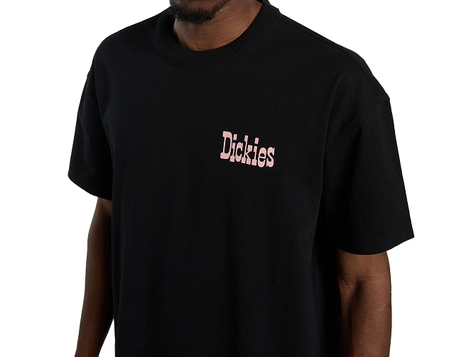 tee shirt - MANCHE COURTE - vetement homme - Coton - Noir - Dickies5923501_5