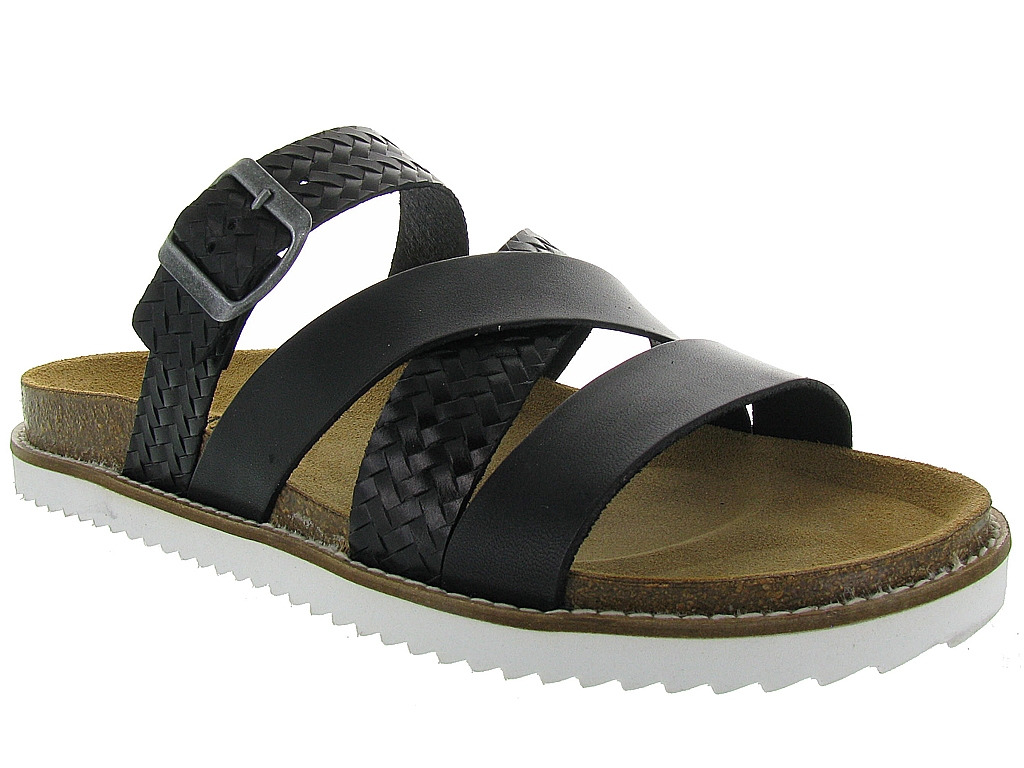plakton homme