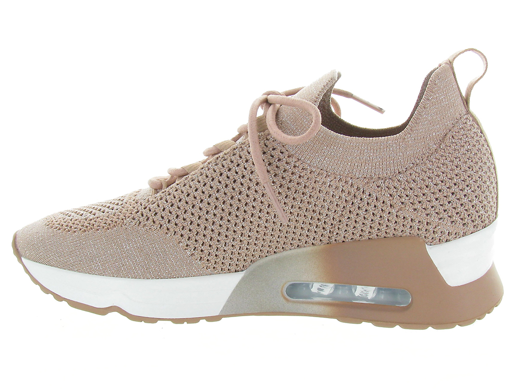 basket femme ash