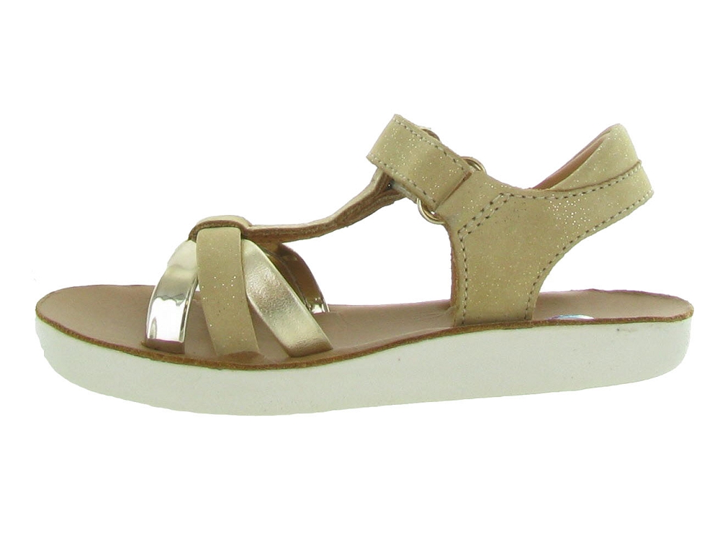 nu pied shoo pom